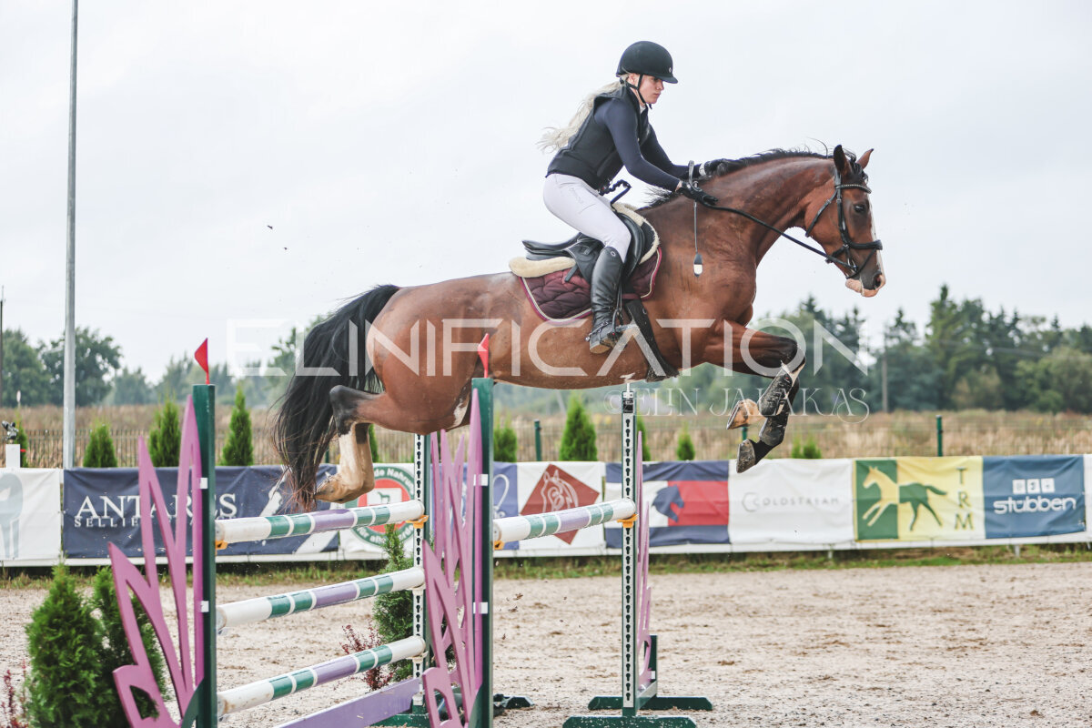 NHTS_2026_13_125cm_106