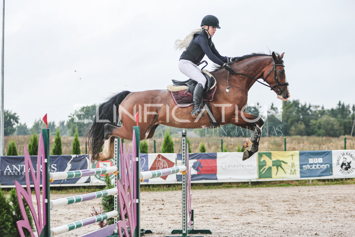 NHTS_2026_13_125cm_107