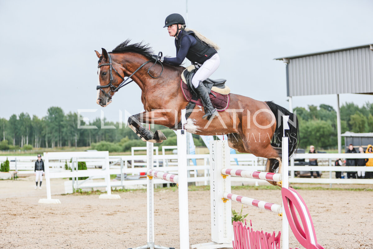 NHTS_2026_13_125cm_110