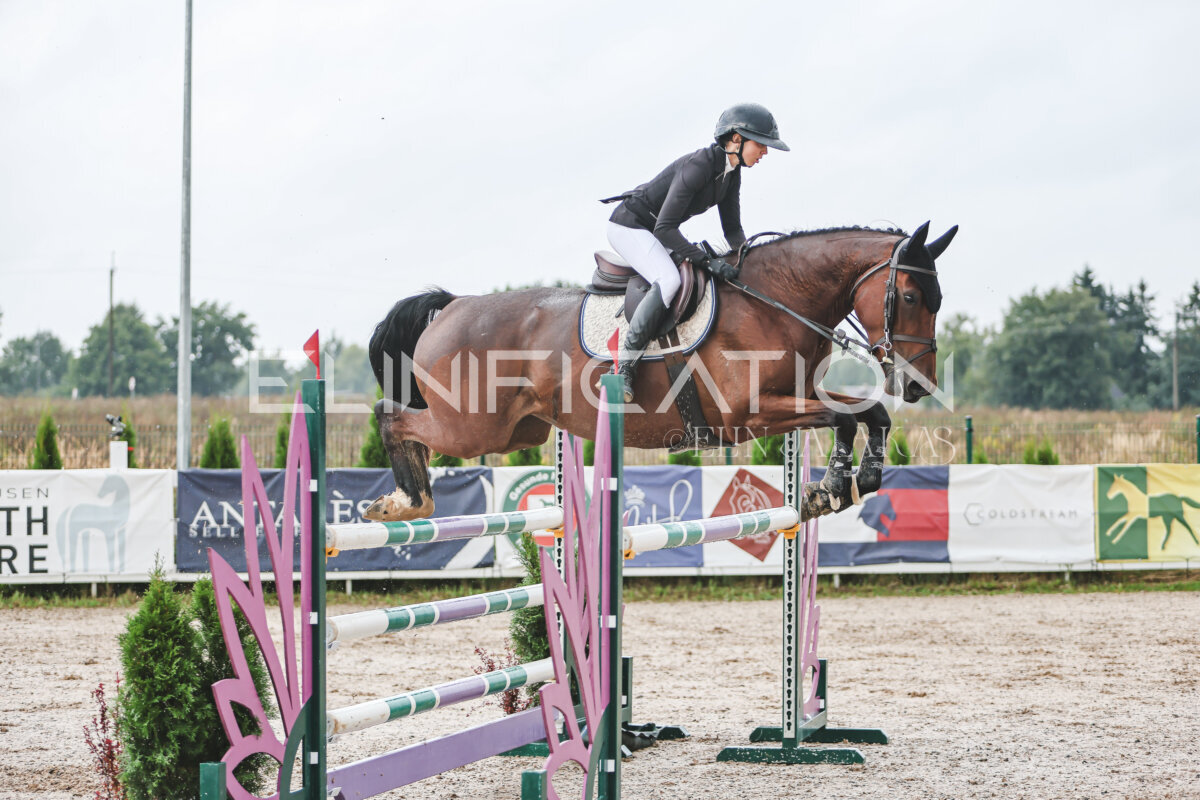 NHTS_2026_13_125cm_117