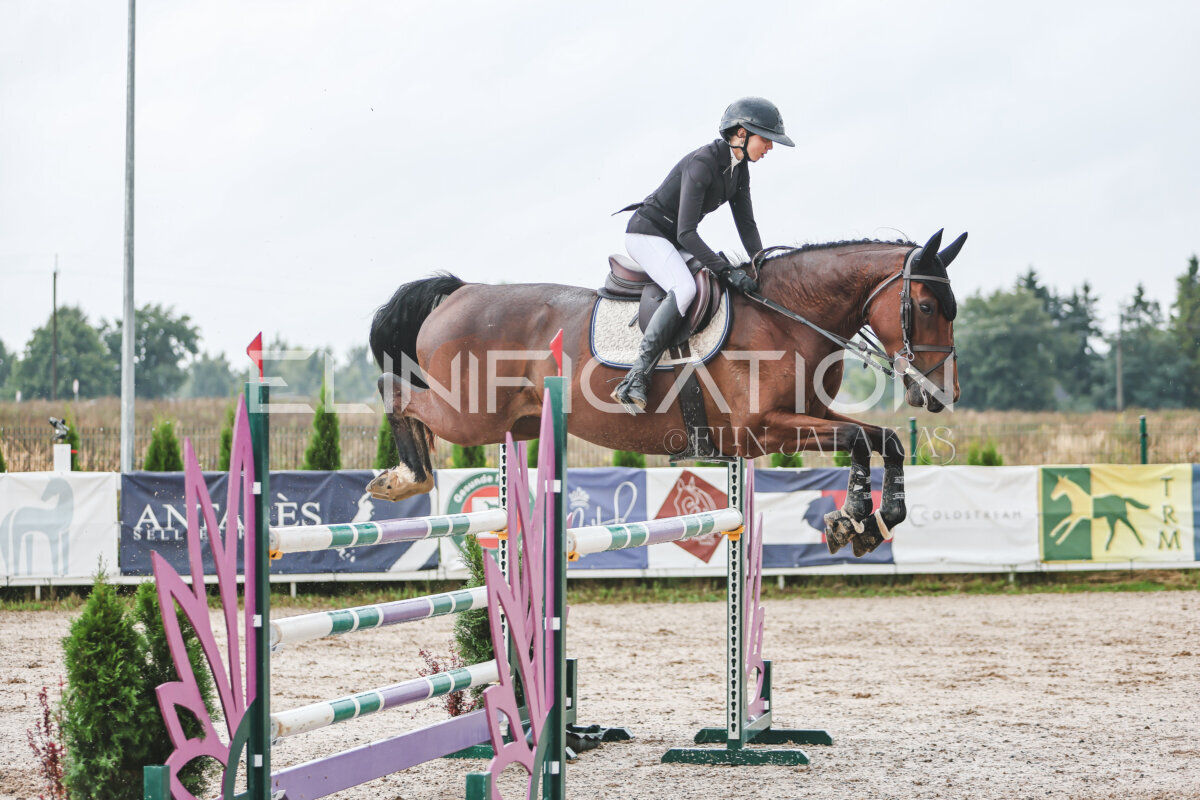 NHTS_2026_13_125cm_118