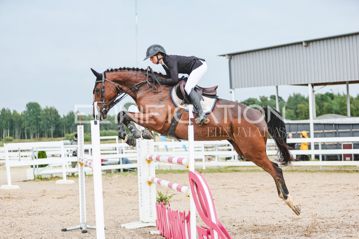 NHTS_2026_13_125cm_119