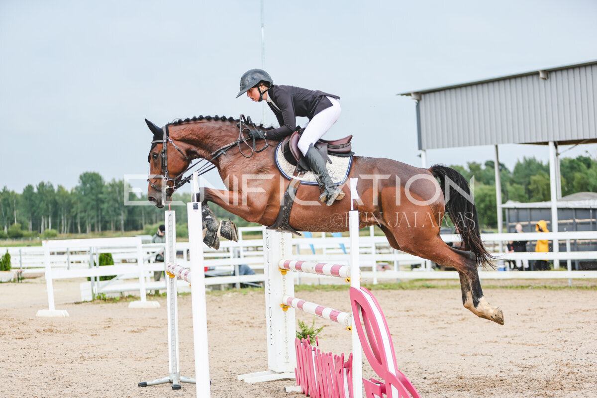 NHTS_2026_13_125cm_120