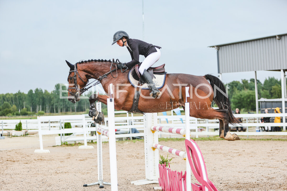 NHTS_2026_13_125cm_121