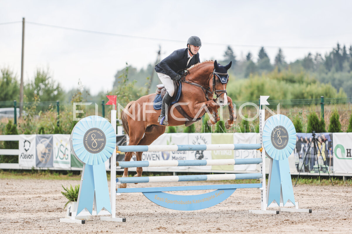 NHTS_2026_13_125cm_133