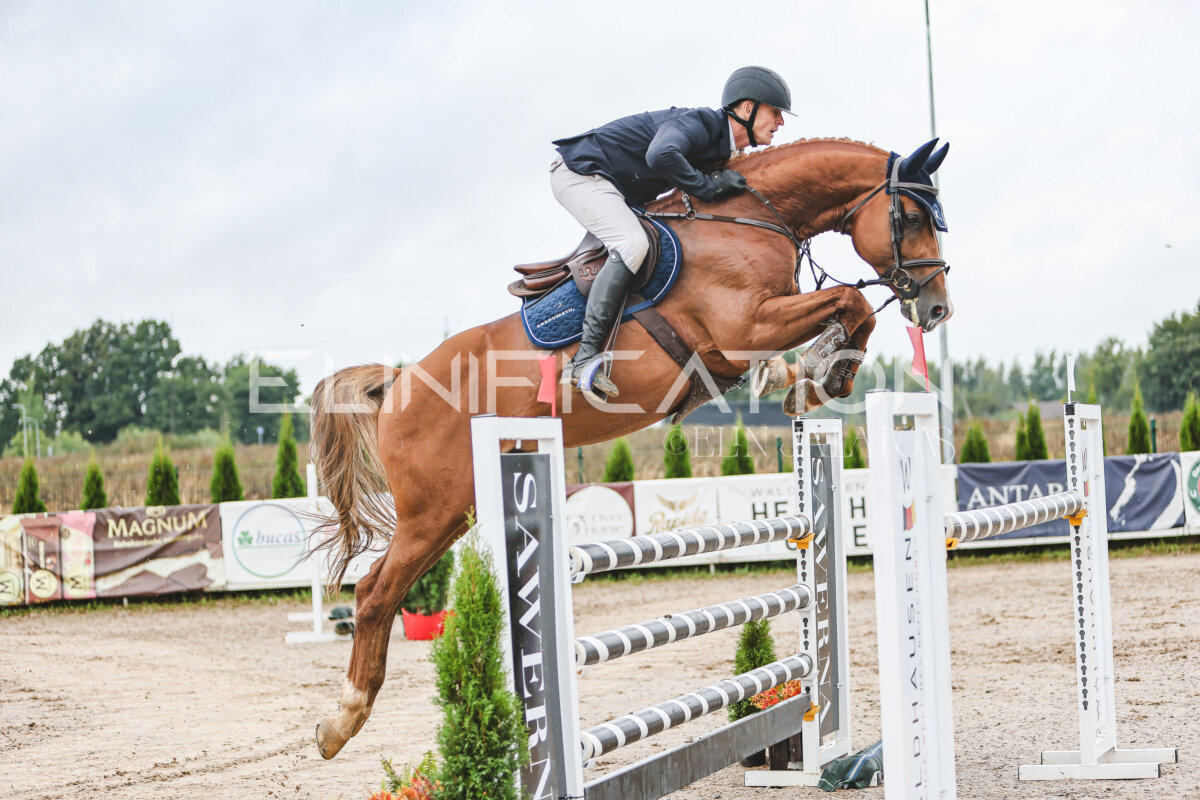 NHTS_2026_13_125cm_134