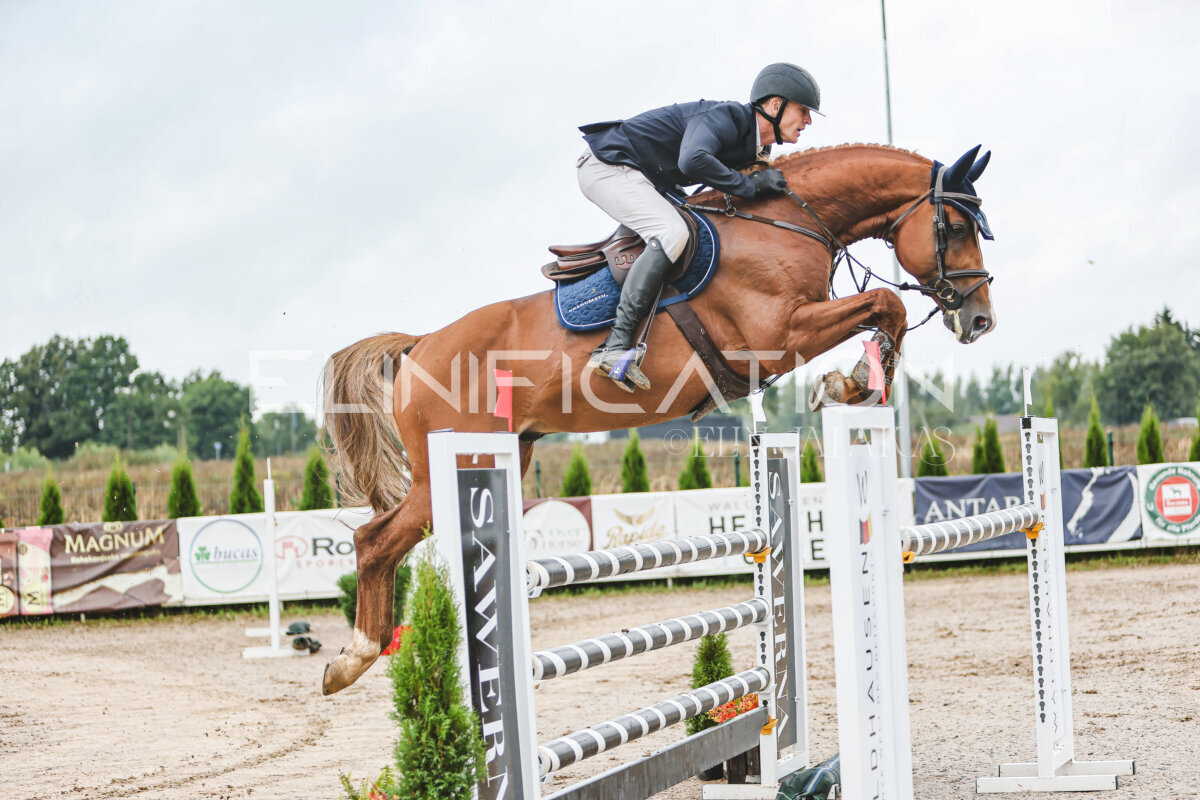 NHTS_2026_13_125cm_135