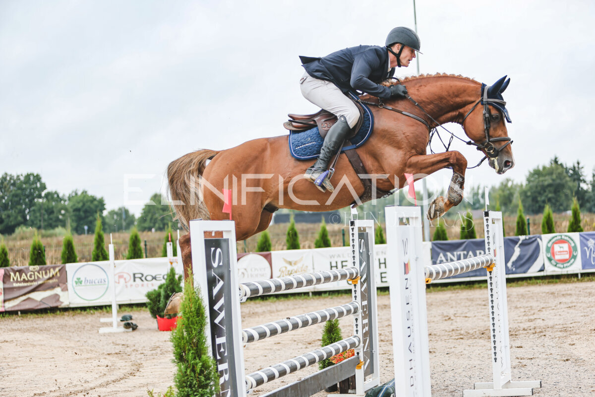 NHTS_2026_13_125cm_136