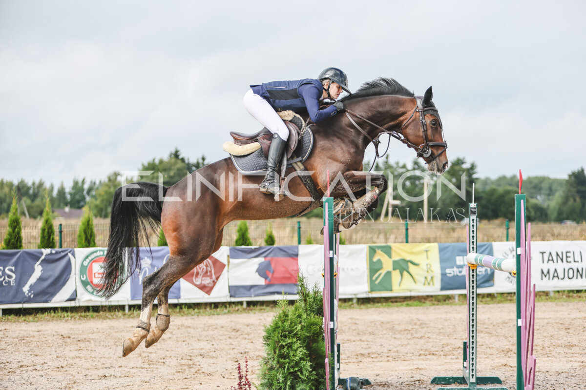 NHTS_2026_14_hc130-135cm_015