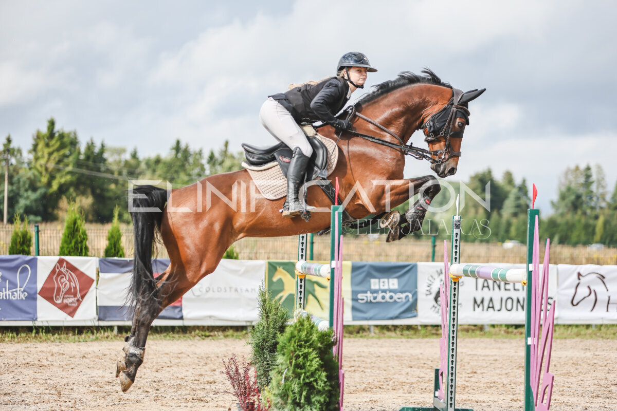 NHTS_2026_14_hc130-135cm_072