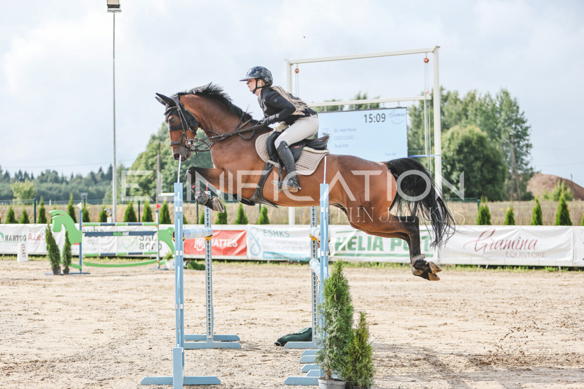 NHTS_2026_14_hc130-135cm_077