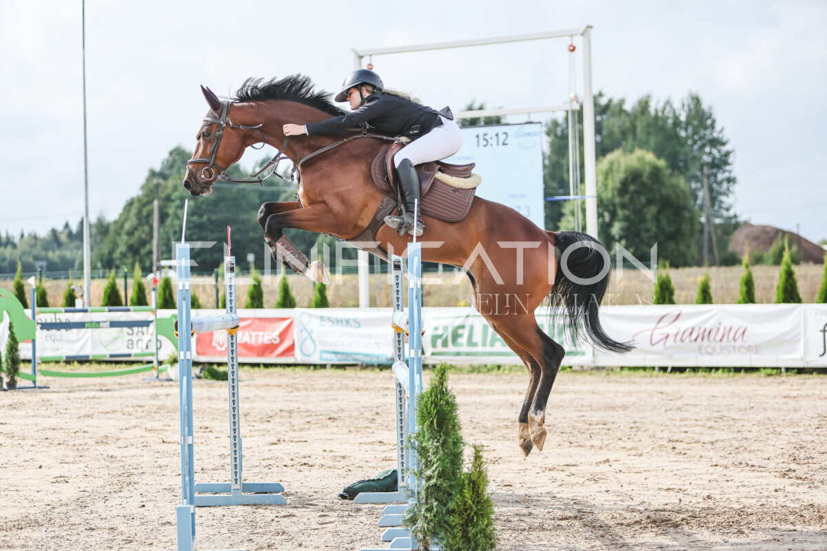NHTS_2026_14_hc130-135cm_089