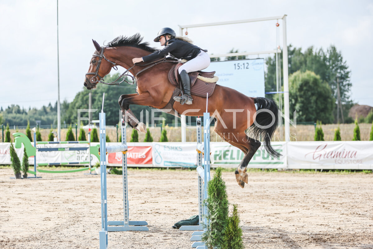 NHTS_2026_14_hc130-135cm_090
