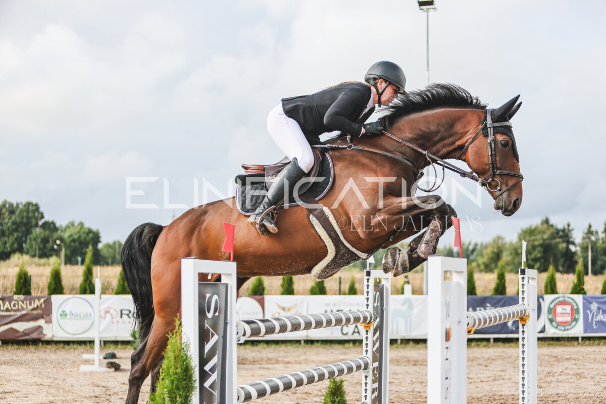 NHTS_2026_14_hc130-135cm_092