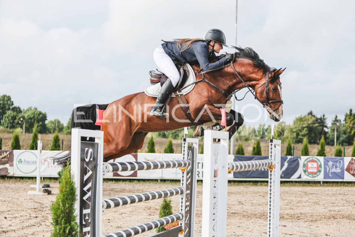 NHTS_2026_14_hc130-135cm_100