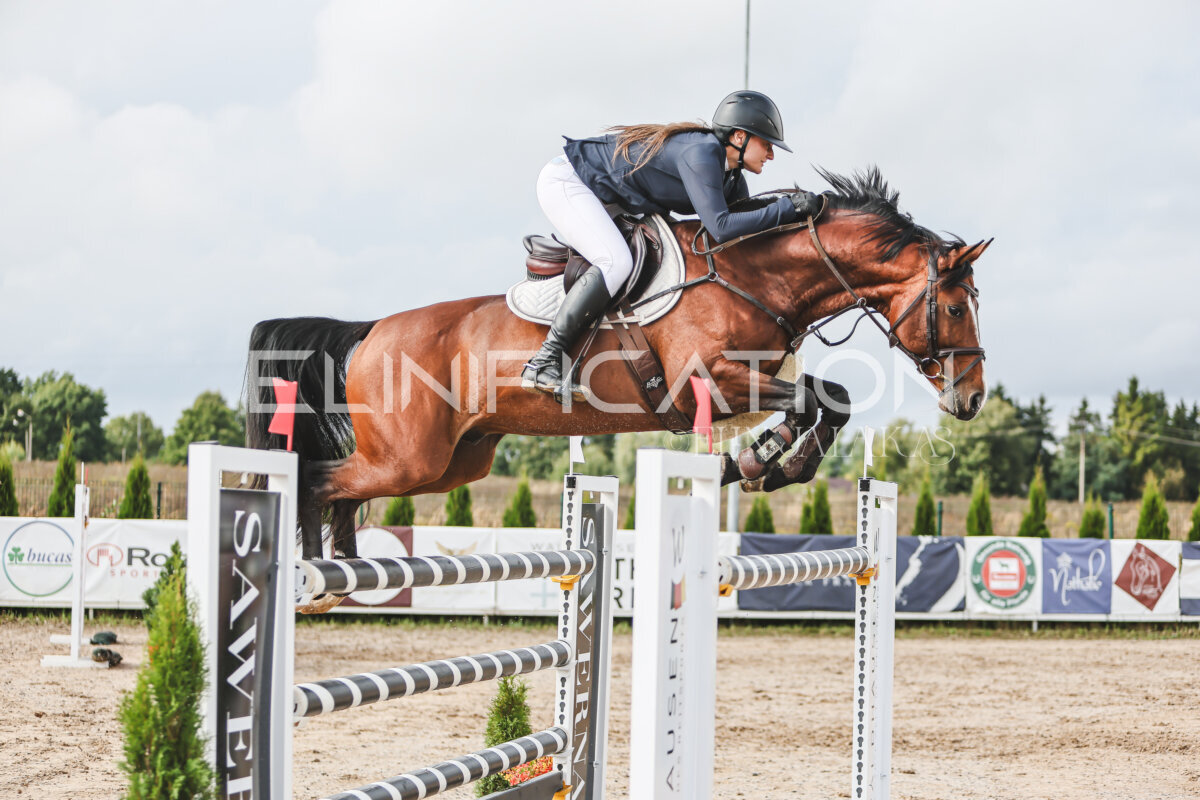 NHTS_2026_14_hc130-135cm_101