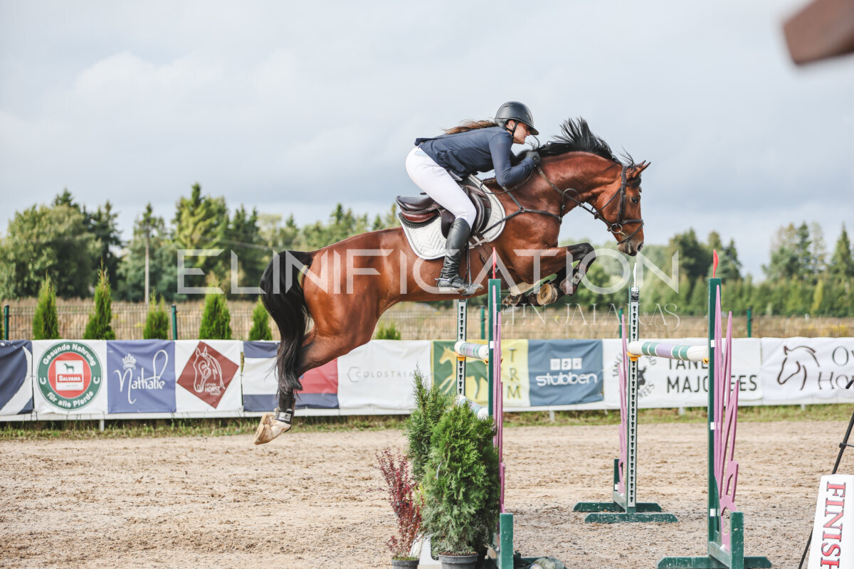 NHTS_2026_14_hc130-135cm_102