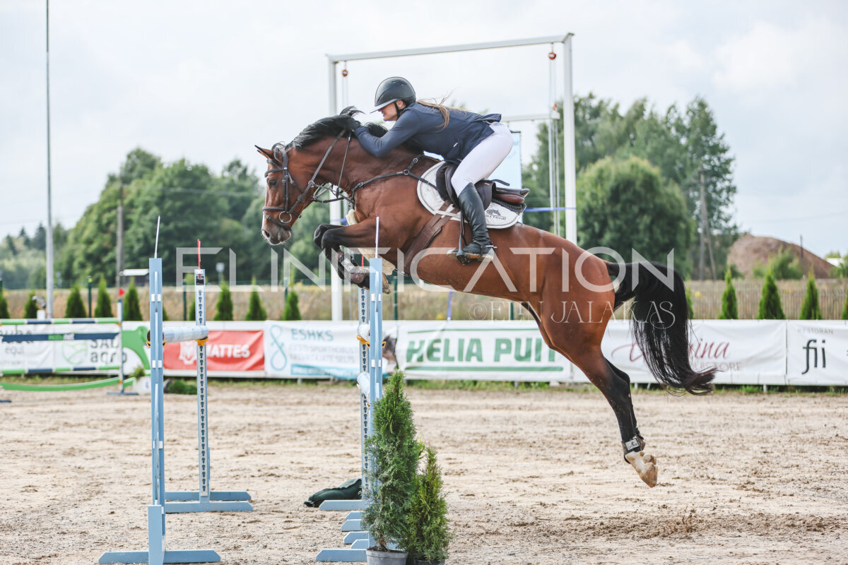 NHTS_2026_14_hc130-135cm_110
