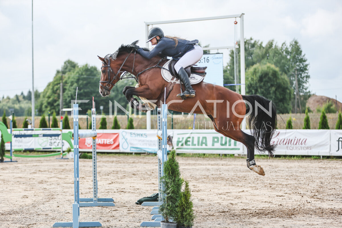 NHTS_2026_14_hc130-135cm_111