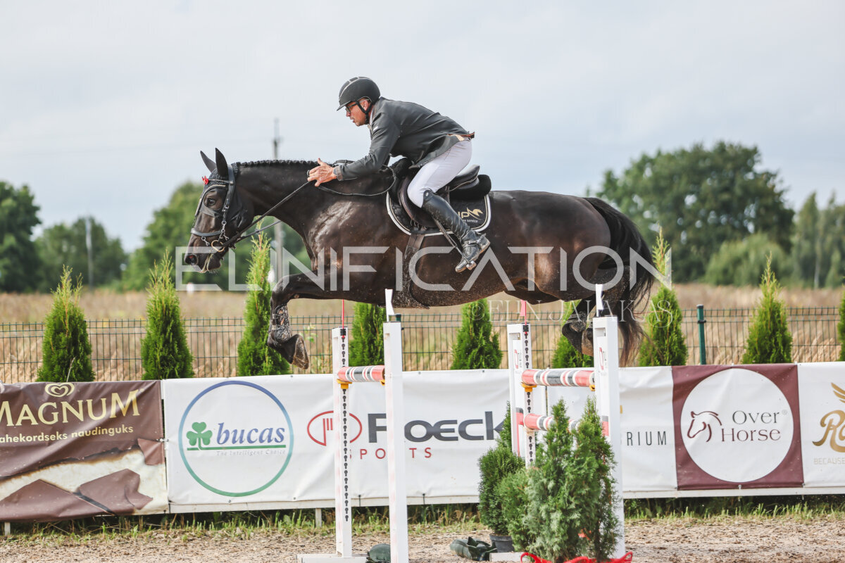NHTS_2026_14_hc130-135cm_118