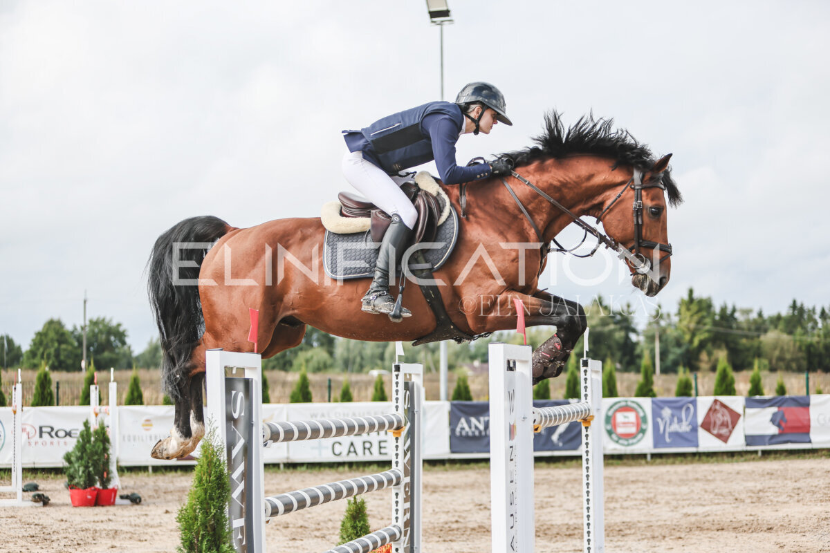 NHTS_2026_14_hc130-135cm_125