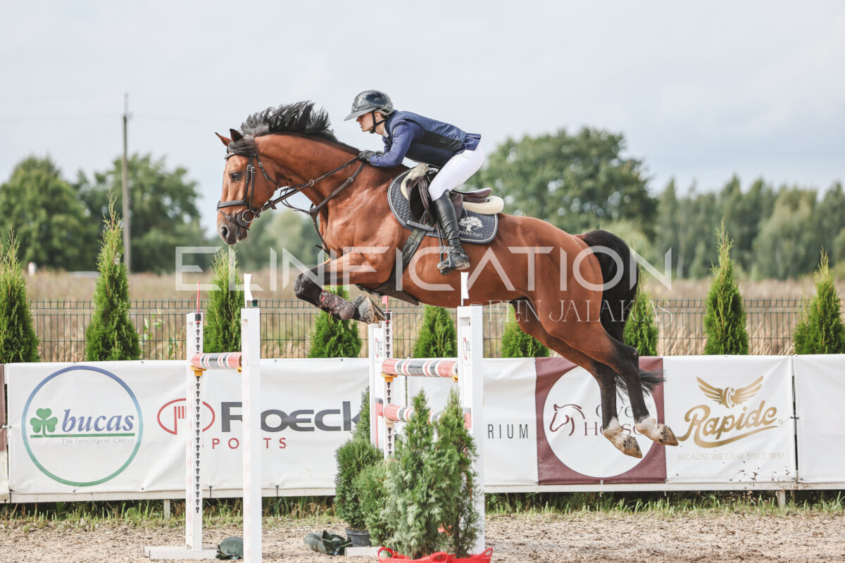 NHTS_2026_14_hc130-135cm_126