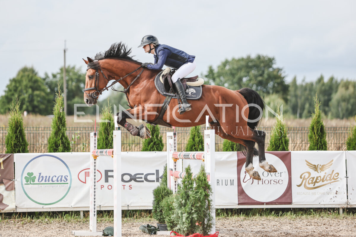 NHTS_2026_14_hc130-135cm_127