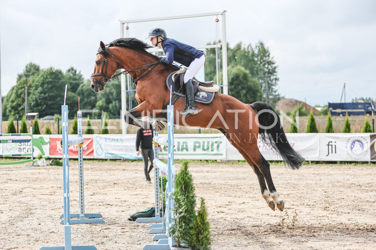 NHTS_2026_14_hc130-135cm_135