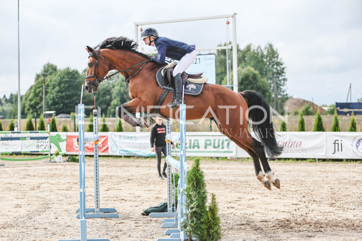NHTS_2026_14_hc130-135cm_136