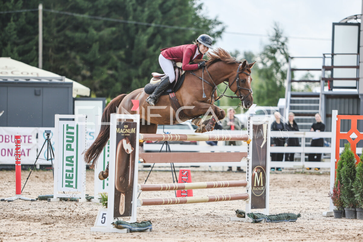 NHTS_2026_14_hc130-135cm_142