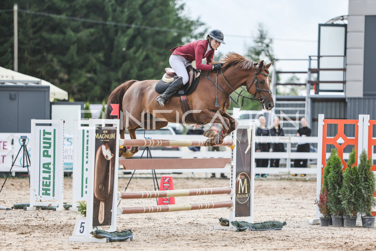 NHTS_2026_14_hc130-135cm_144