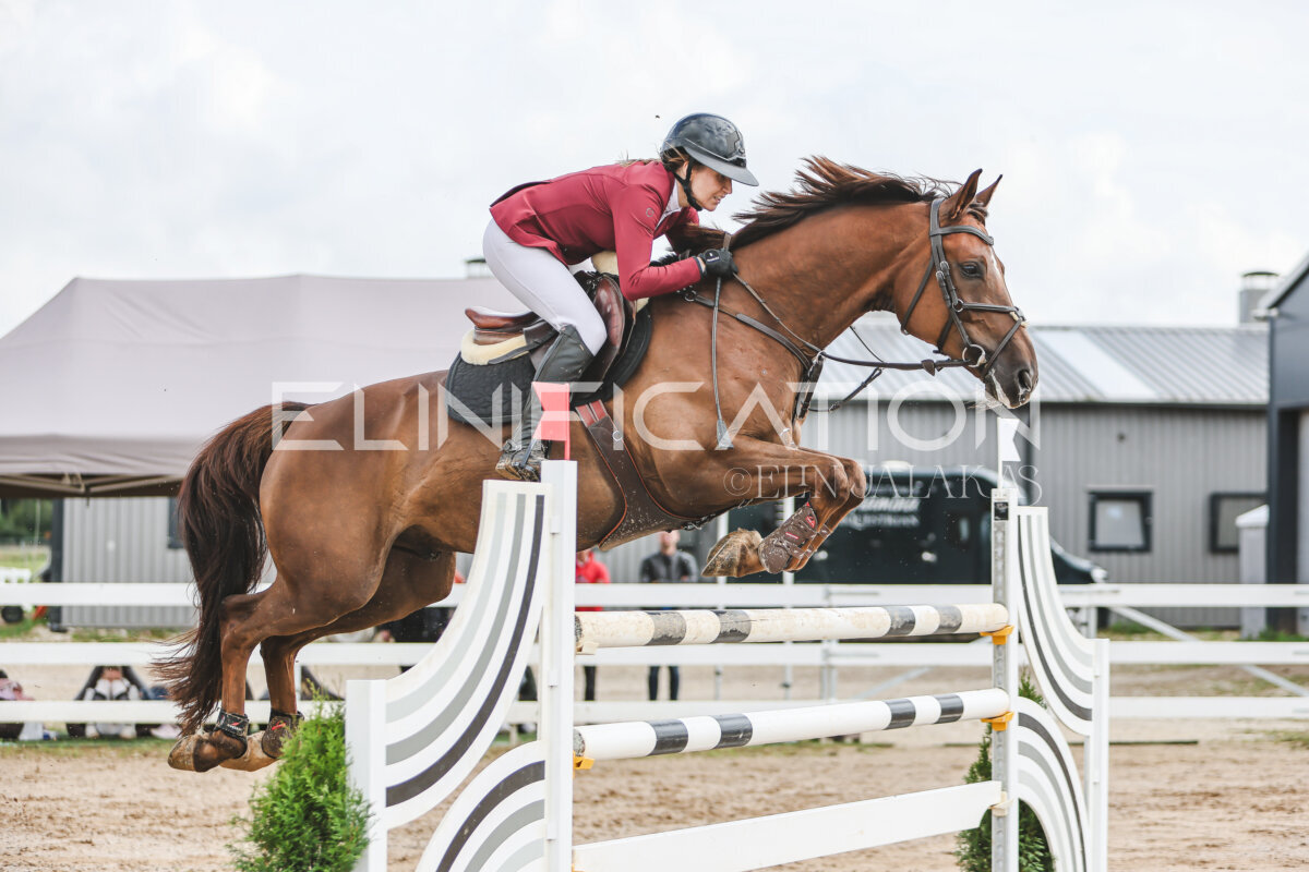 NHTS_2026_14_hc130-135cm_146
