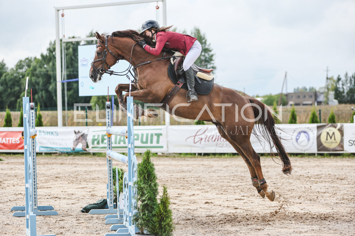 NHTS_2026_14_hc130-135cm_148
