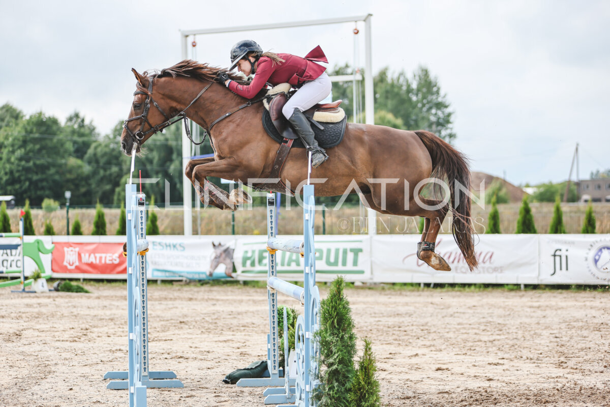 NHTS_2026_14_hc130-135cm_151