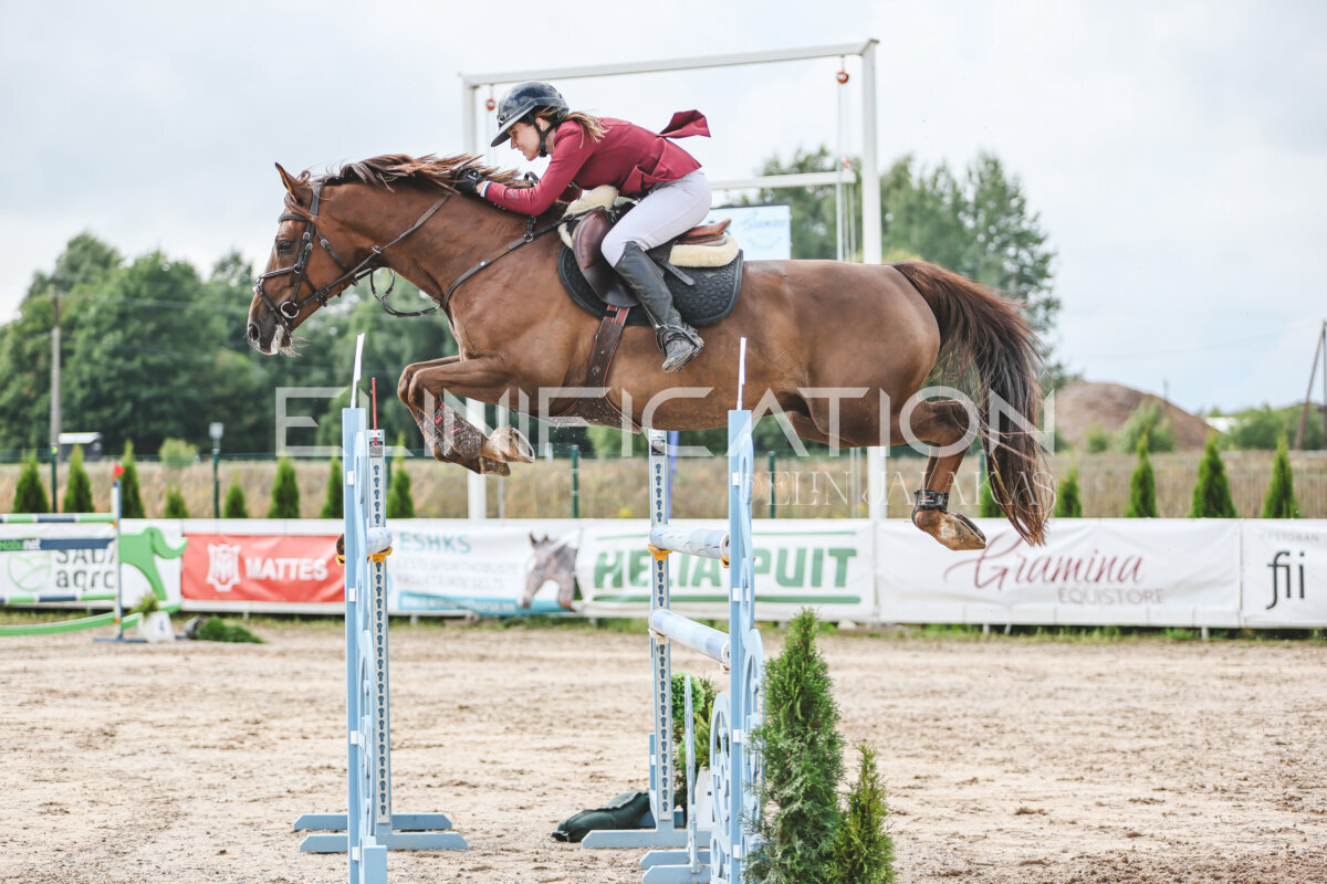 NHTS_2026_14_hc130-135cm_152