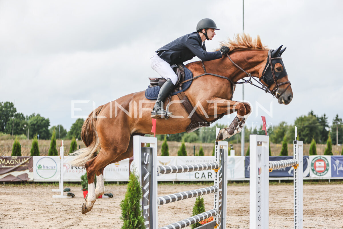 NHTS_2026_14_hc130-135cm_154