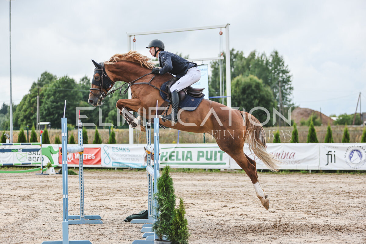 NHTS_2026_14_hc130-135cm_157