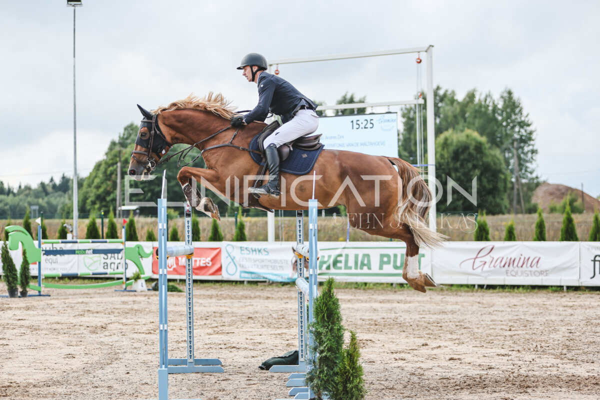 NHTS_2026_14_hc130-135cm_159