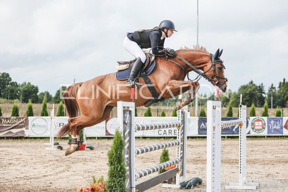 NHTS_2026_14_hc130-135cm_162