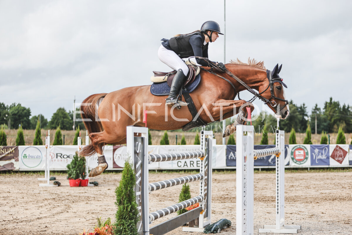 NHTS_2026_14_hc130-135cm_163