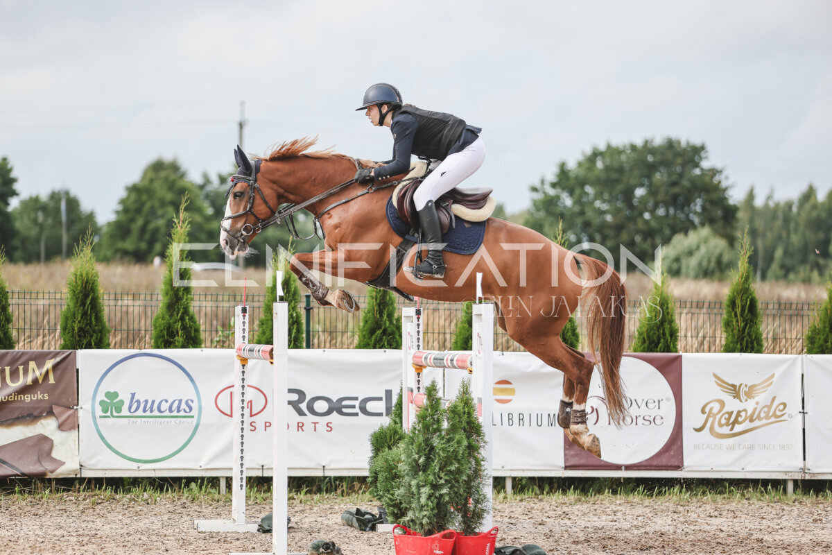 NHTS_2026_14_hc130-135cm_164