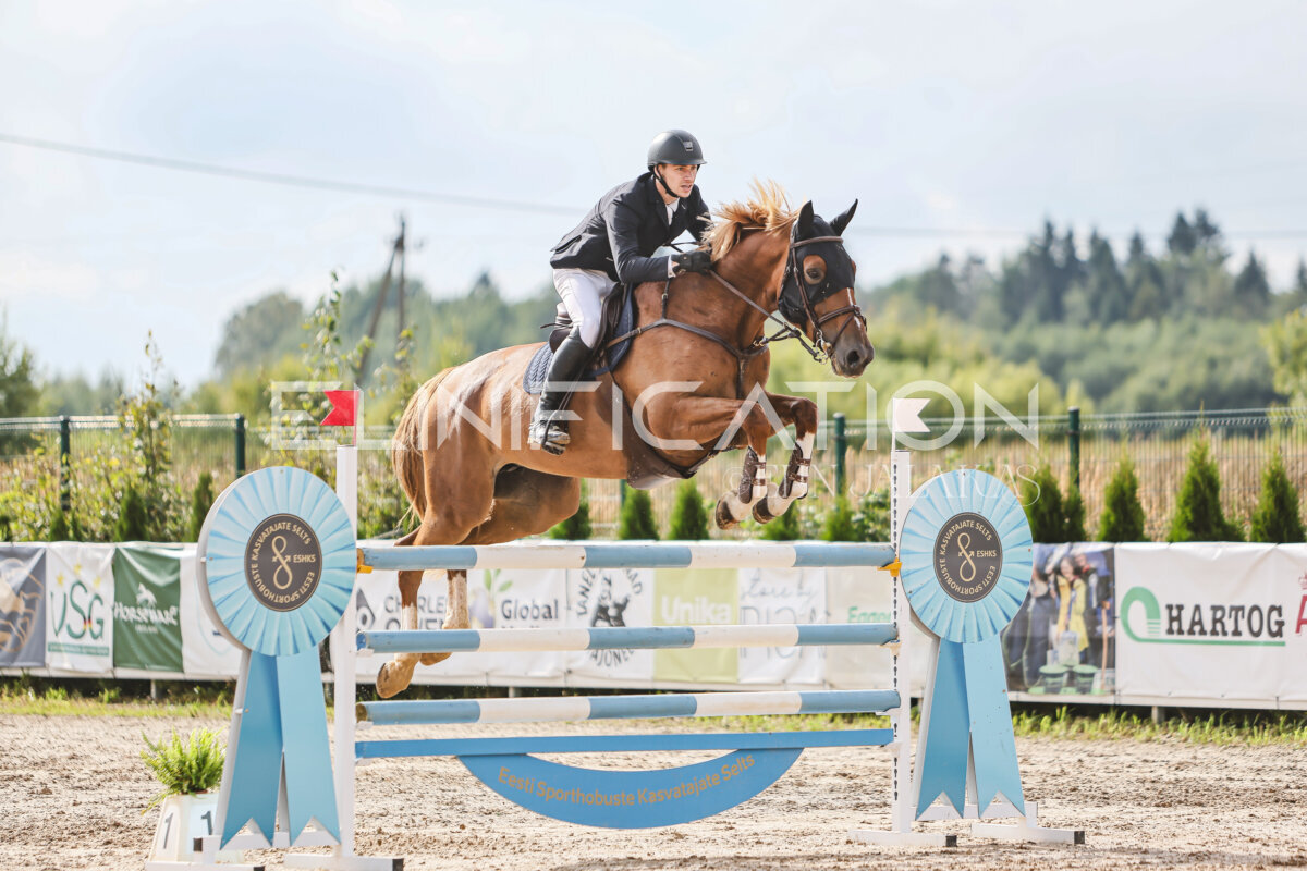 NHTS_2026_14_hc130-135cm_174