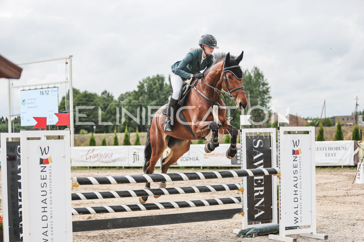 NHTS_2026_15_110cm_002