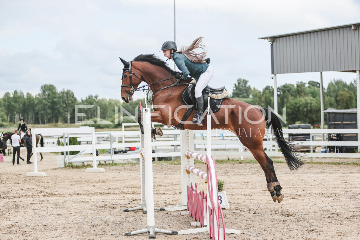 NHTS_2026_15_110cm_009