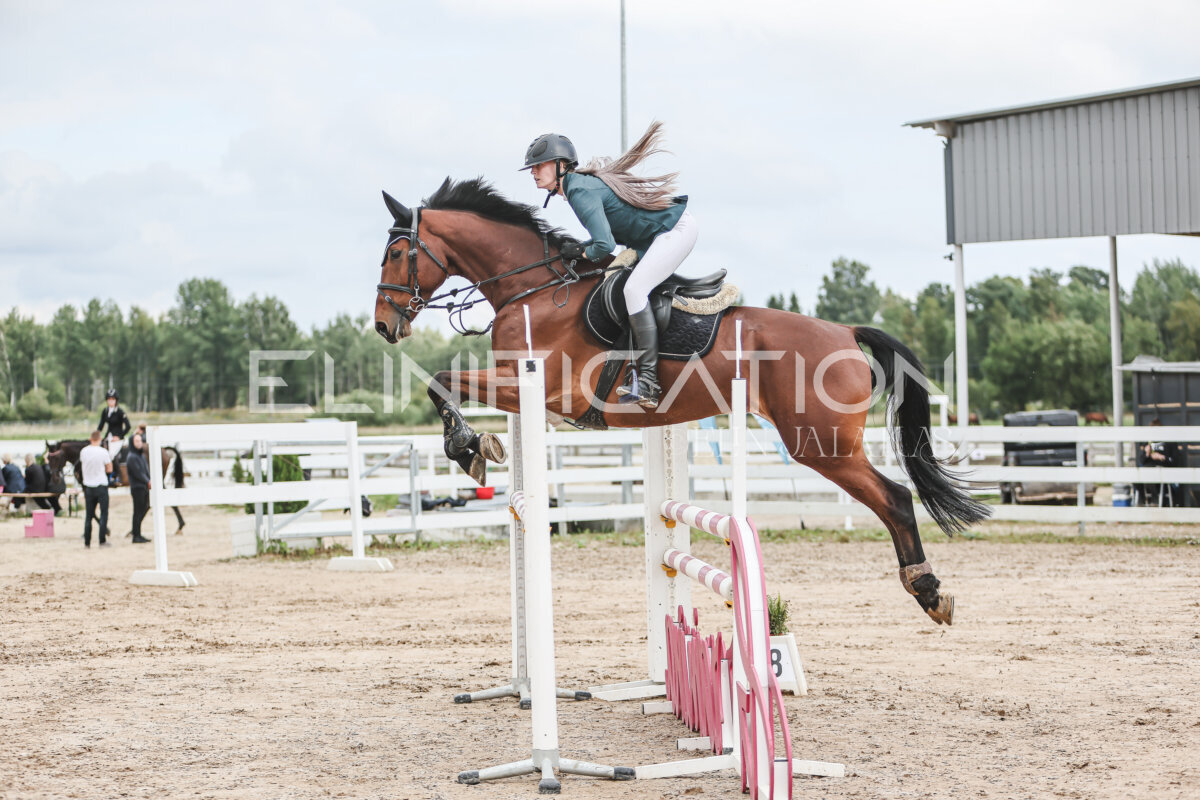 NHTS_2026_15_110cm_010