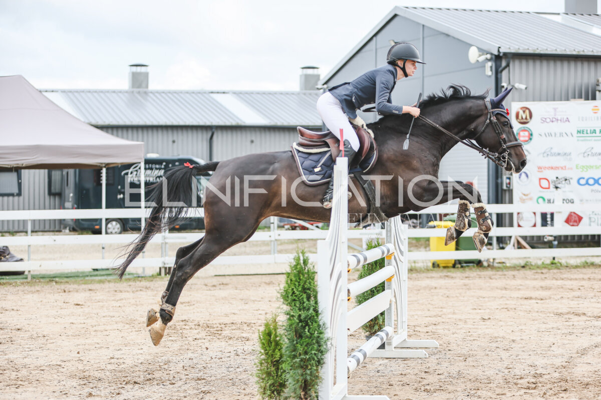 NHTS_2026_15_110cm_015
