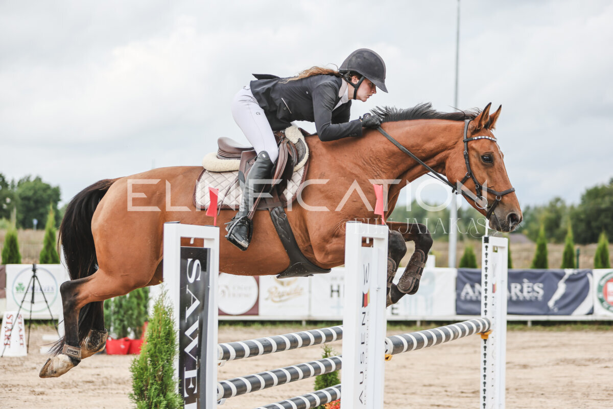 NHTS_2026_15_110cm_023