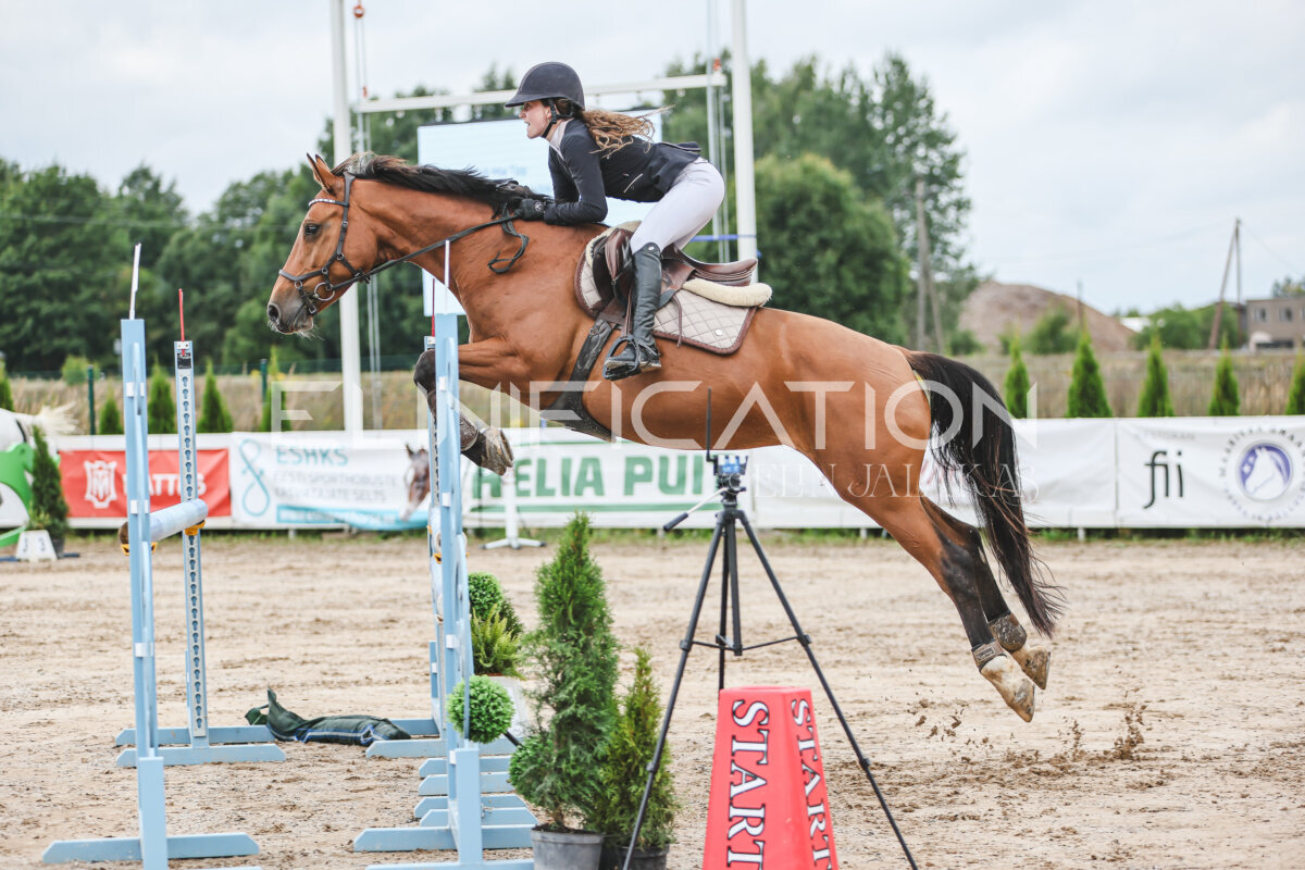 NHTS_2026_15_110cm_026