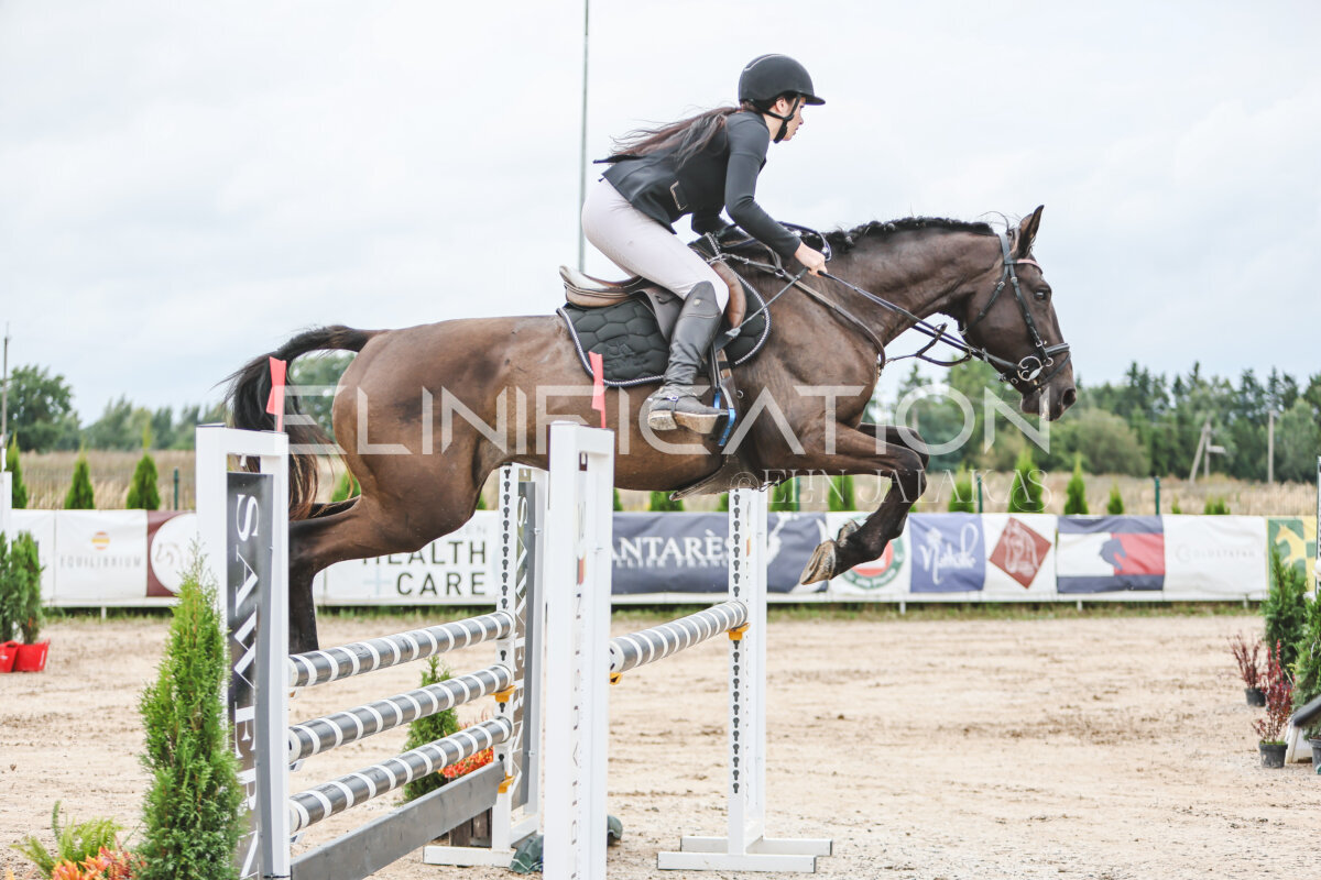 NHTS_2026_15_110cm_058