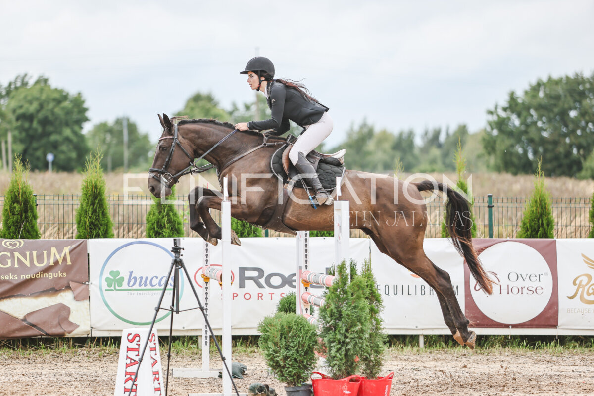 NHTS_2026_15_110cm_059